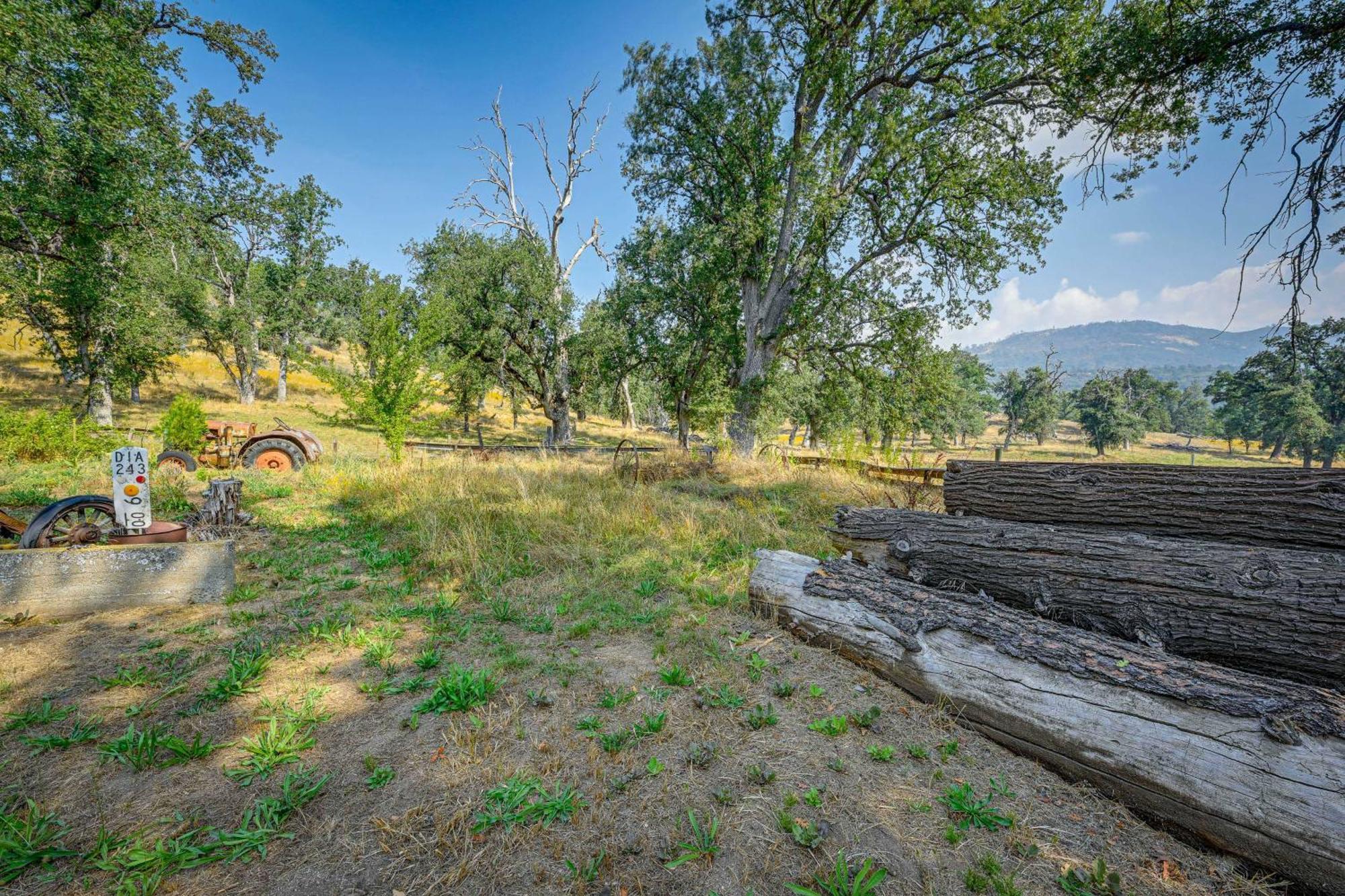 Cozy Family-Friendly Badger Retreat With Fireplace! المظهر الخارجي الصورة